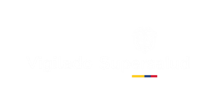 logo superinterdencia